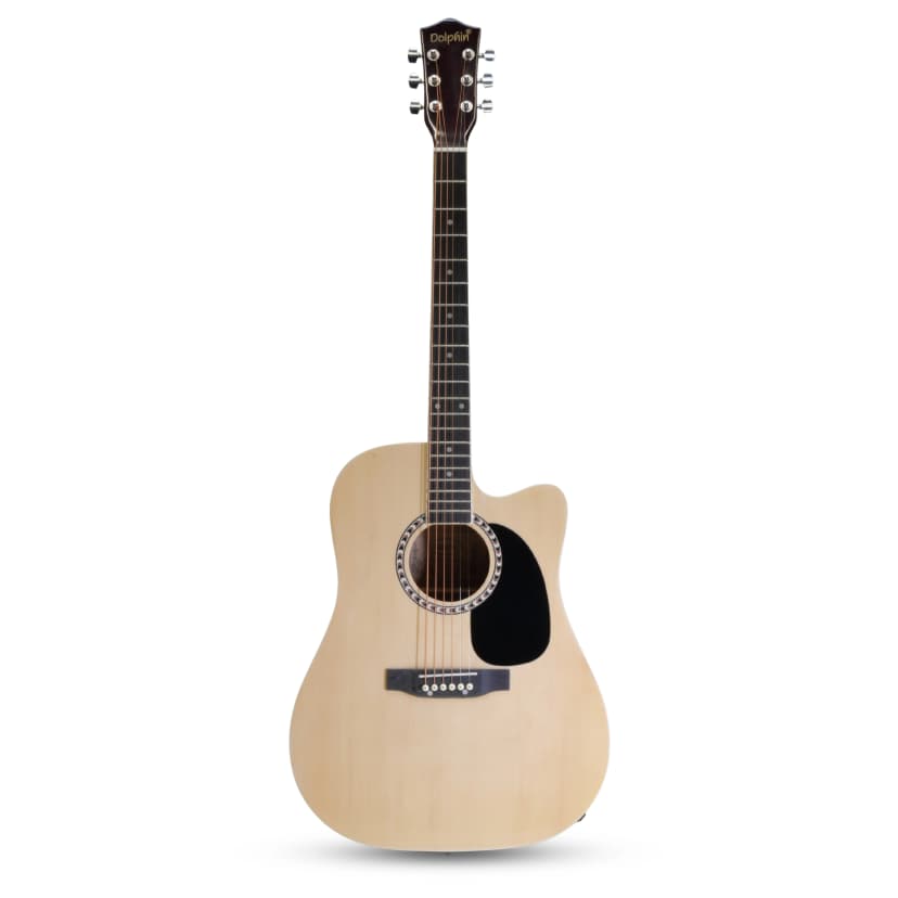 Dolphin DT 1000 C Acoustic Guitar 