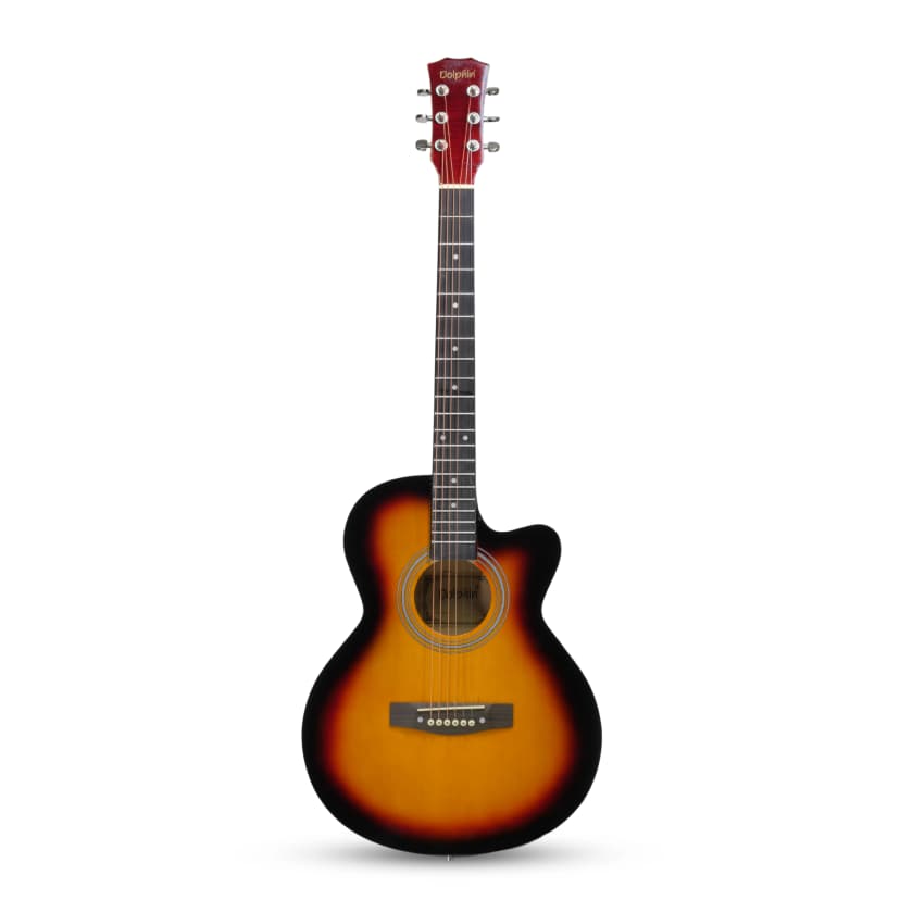 Dolphin DE-10 CPG Acoustic Guitar