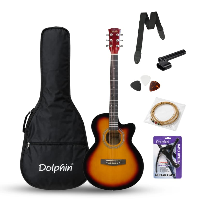 Dolphin DE- 10 CPG Acoustic Guitar With Combo with bag, string set, strap, capo, picks & winder