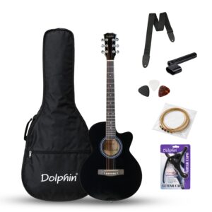 Dolphin Guitar Cutway 39"- DE-11 CPG