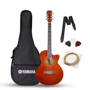 Dolphin guitar cutway 39" - DE- 11 CPG