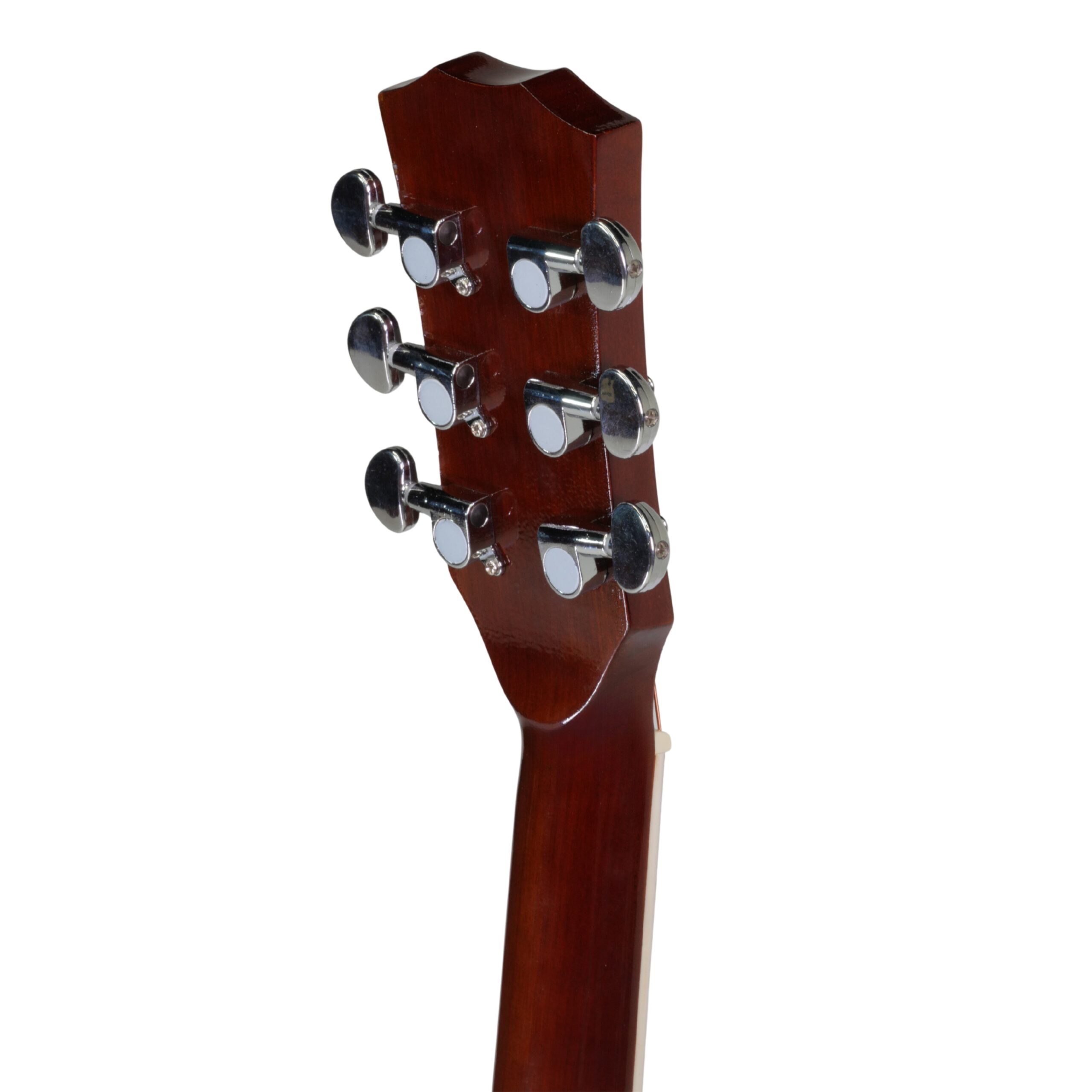 dolphin guitar (6).jpg