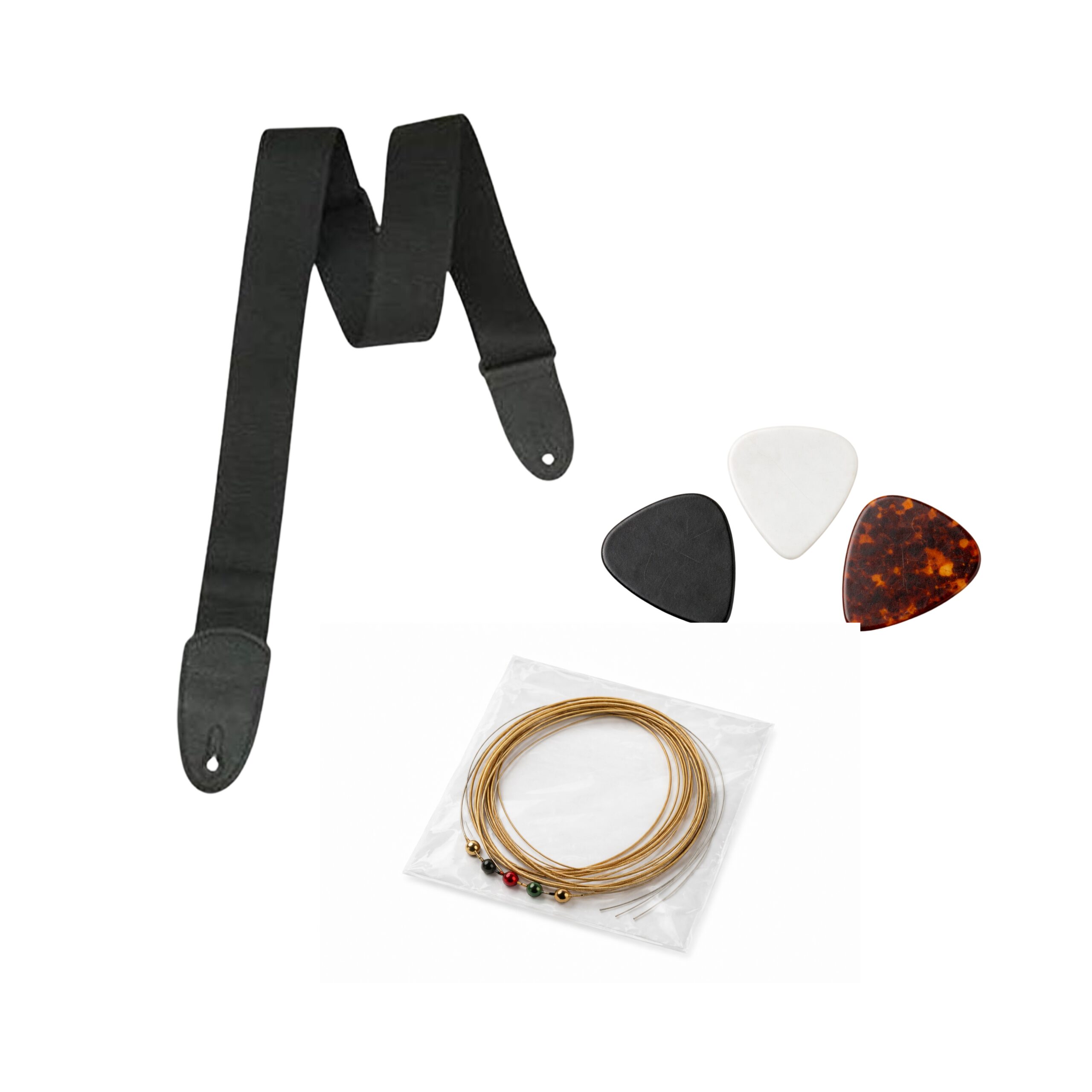 dolphin guitar (7).jpg