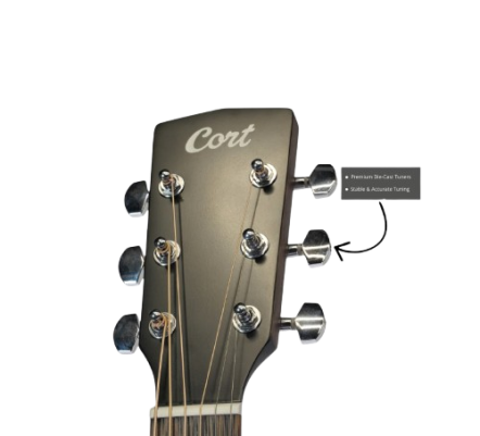 WhatsApp_Image_2026-03-10_at_6.56.25_PM__1_-removebg-preview